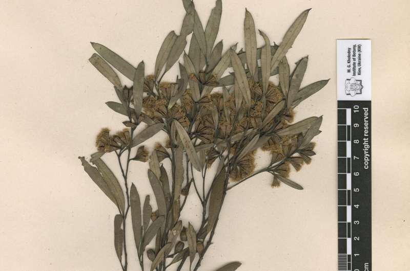 hidden botanical treas