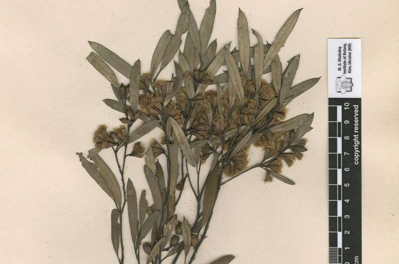 hidden botanical treas