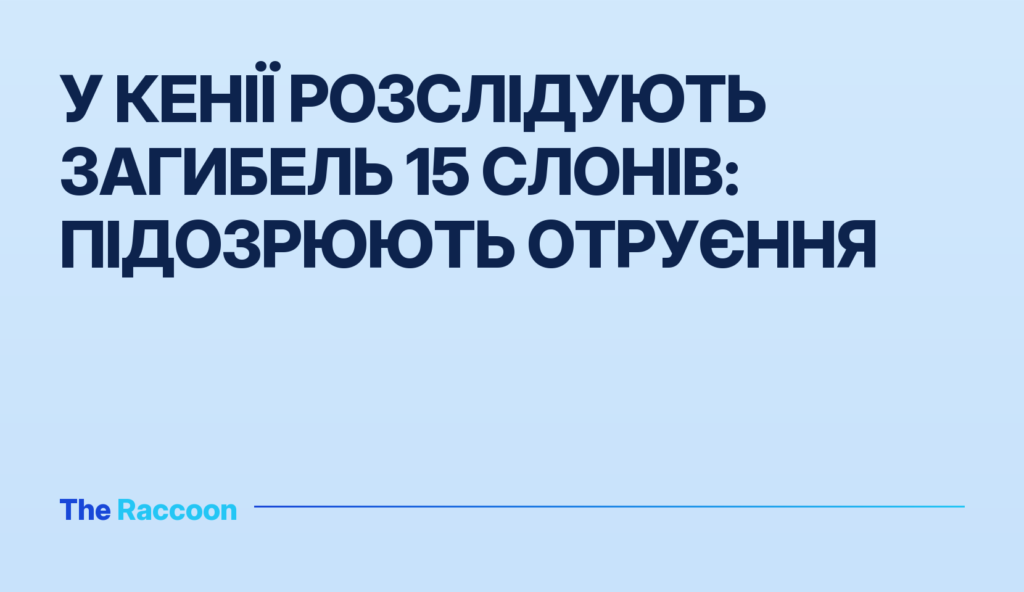 У Кенії розслідують загибель 15 слонів: підозрюють отруєння