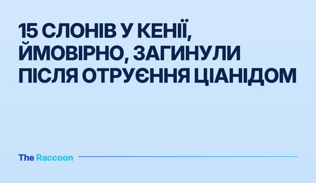 15 слонів у Кенії, ймовірно, загинули після отруєння ціанідом