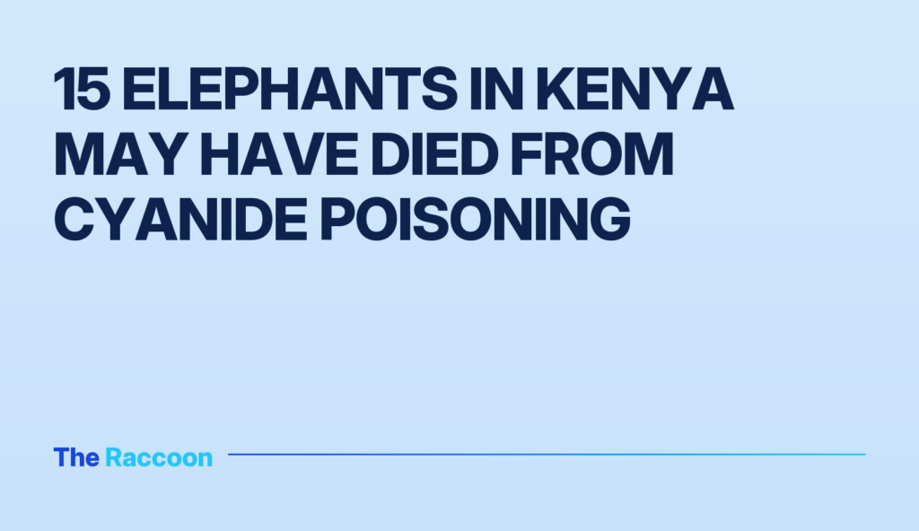 15 elephants in Kenya may have died from cyanide poisoning