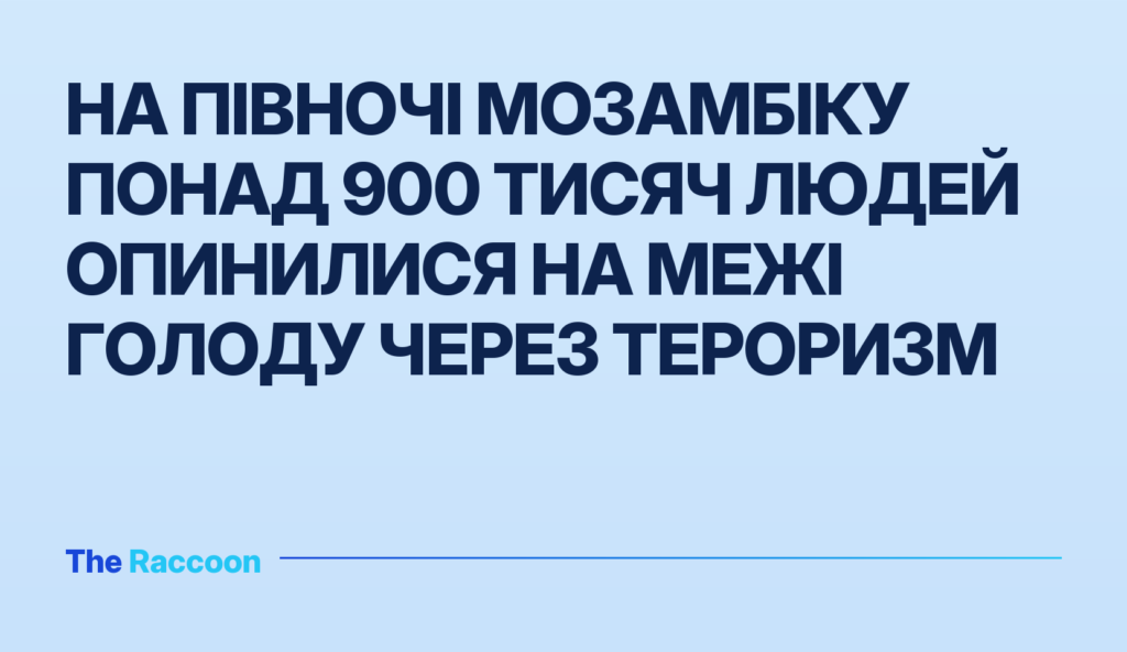 На півночі Мозамбіку понад 900 тисяч людей опинилися на межі голоду через тероризм