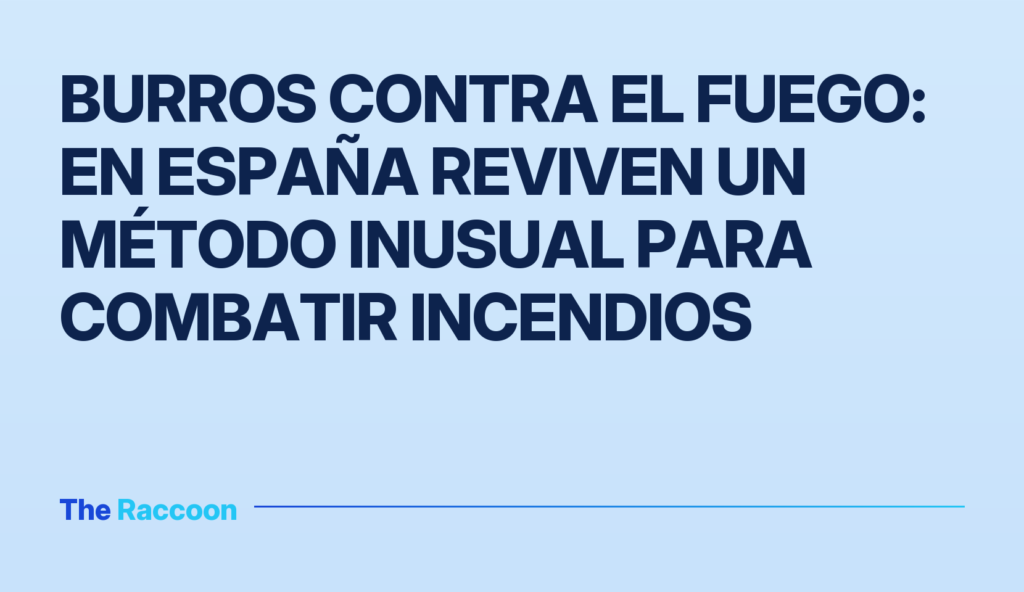 Burros contra el fuego: en España reviven un método inusual para combatir incendios
