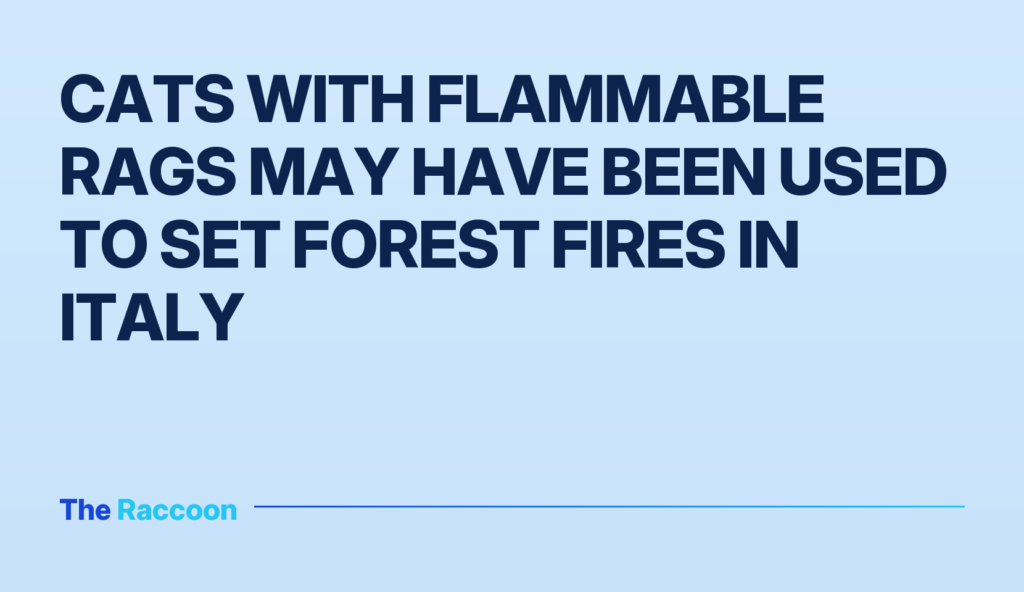 Cats with flammable rags may have been used to set forest fires in Italy