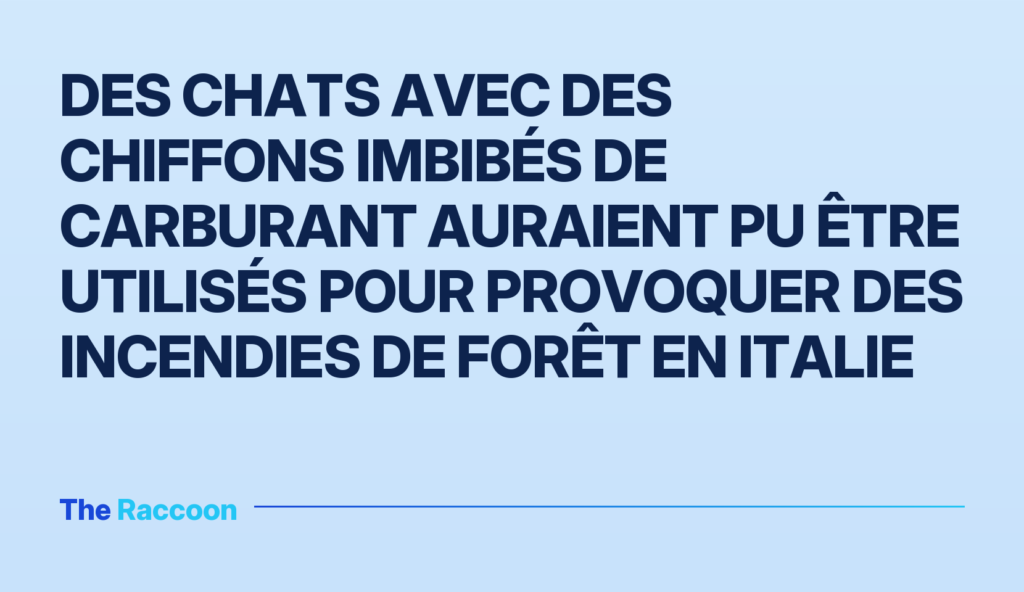 Des chats avec des chiffons imbibés de carburant auraient pu être utilisés pour provoquer des incendies de forêt en Italie Des chats avec des chiffons imbibés de carburant auraient pu être utilisés pour provoquer des incendies de forêt en Italie