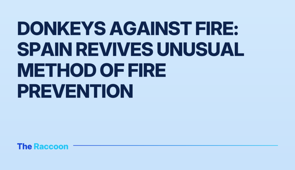 Donkeys Against Fire: Spain Revives Unusual Method of Fire Prevention