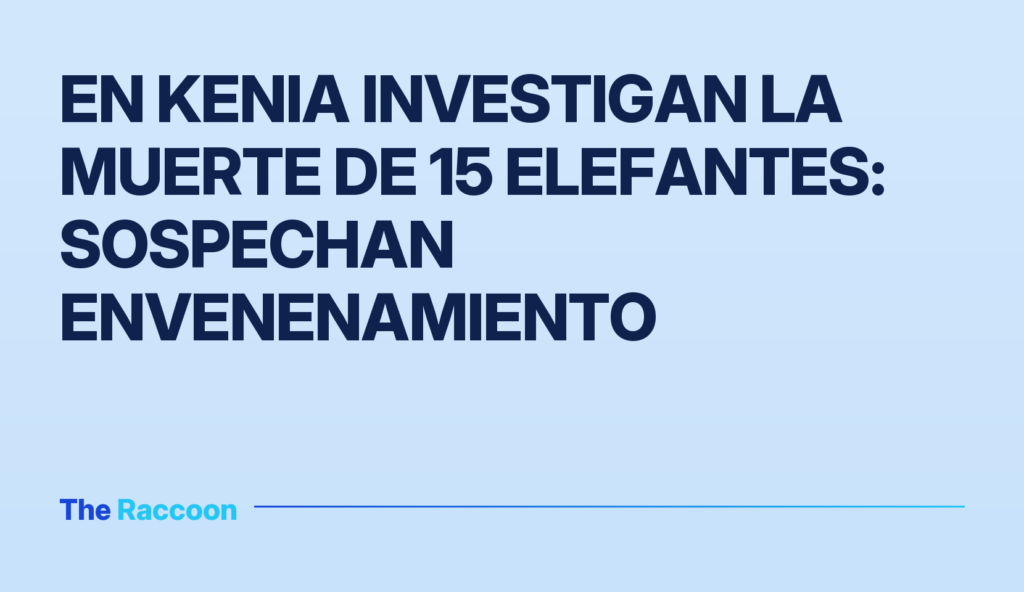 En Kenia investigan la muerte de 15 elefantes: sospechan envenenamiento