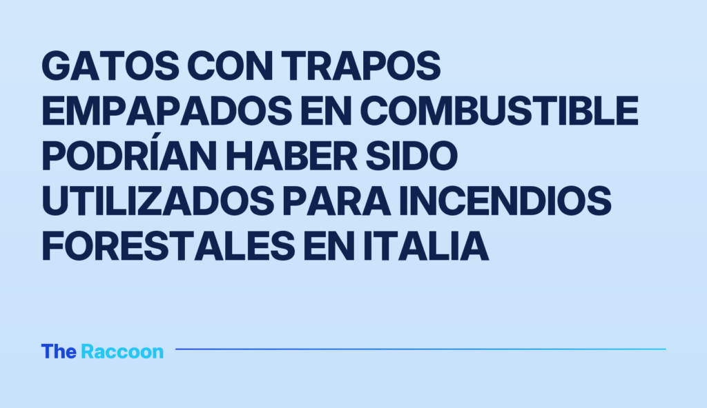 Gatos con trapos empapados en combustible podrían haber sido utilizados para incendios forestales en Italia