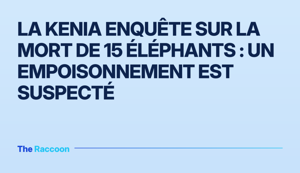 La Kenia enquête sur la mort de 15 éléphants : un empoisonnement est suspecté