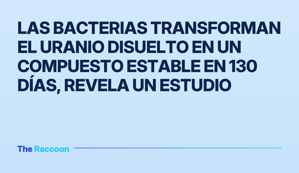 Las bacterias transforman el uranio disuelto en un compuesto estable en 130 días, revela un estudio