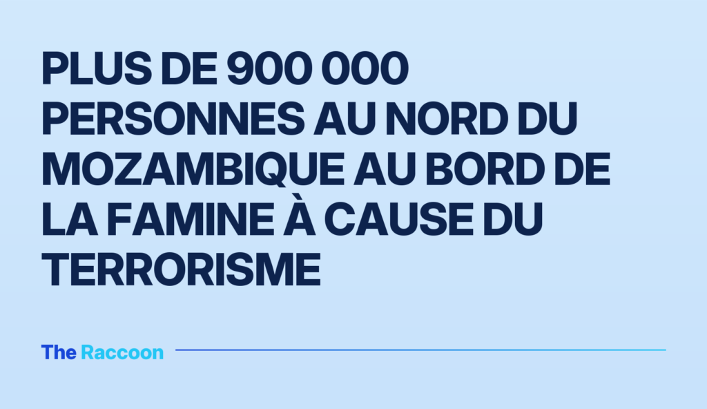 Plus de 900 000 personnes au nord du Mozambique au bord de la famine à cause du terrorisme
