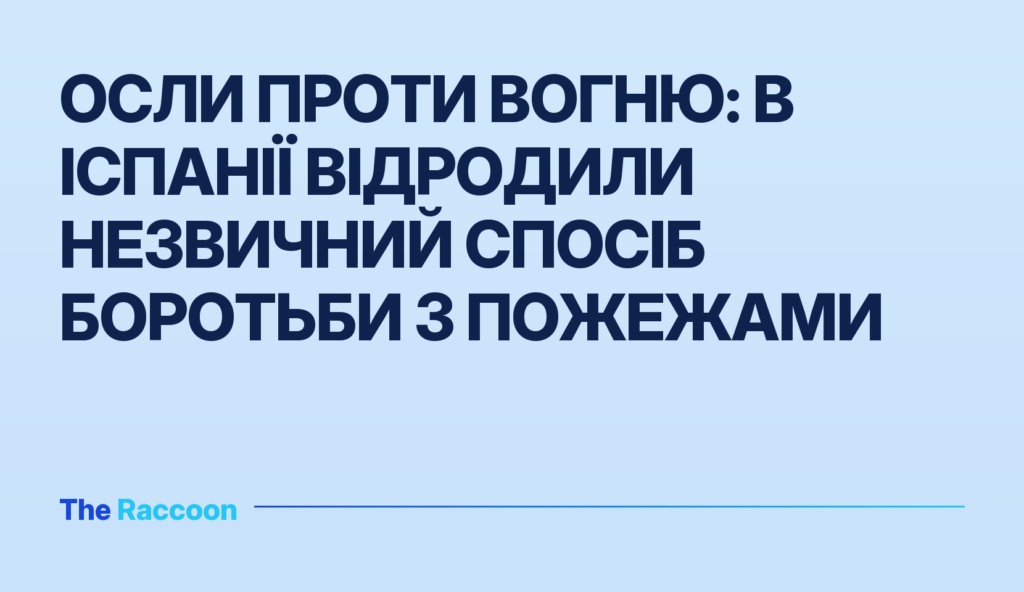 Осли проти вогню: в Іспанії відродили незвичний спосіб боротьби з пожежами