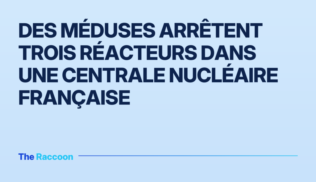 Des méduses arrêtent trois réacteurs dans une centrale nucléaire française
