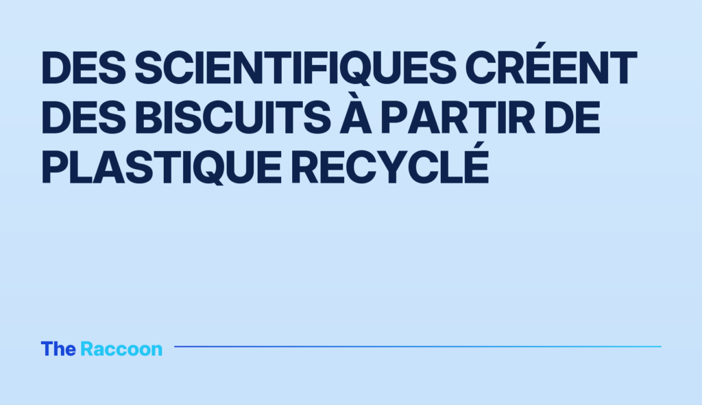 Des scientifiques créent des biscuits à partir de plastique recyclé