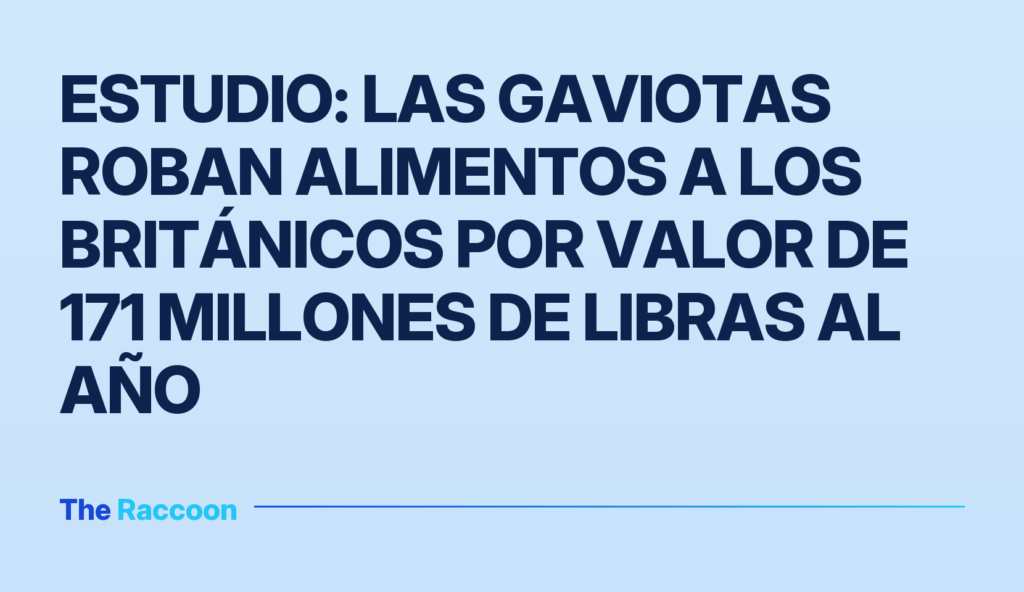 Estudio: las gaviotas roban alimentos a los británicos por valor de 171 millones de libras al año