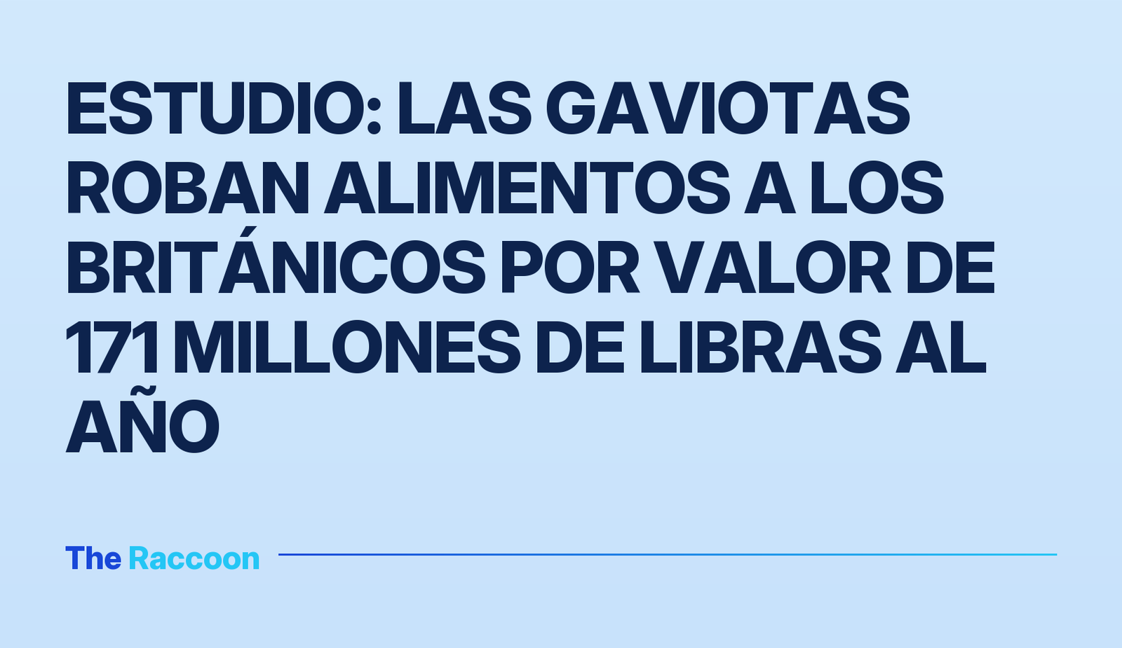 Estudio: las gaviotas roban alimentos a los británicos por valor de 171 millones de libras al año