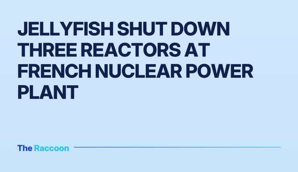 Jellyfish shut down three reactors at French nuclear power plant