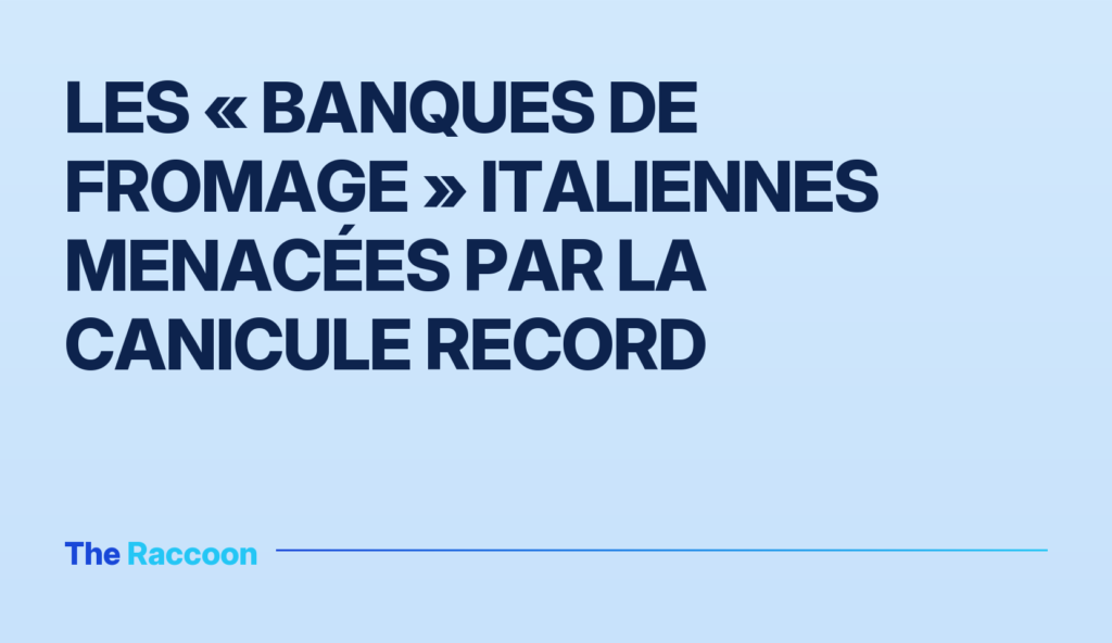 Les « banques de fromage » italiennes menacées par la canicule record Les « banques de fromage » italiennes menacées par la canicule record
