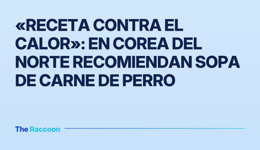 «Receta contra el calor»: en Corea del Norte recomiendan sopa de carne de perro