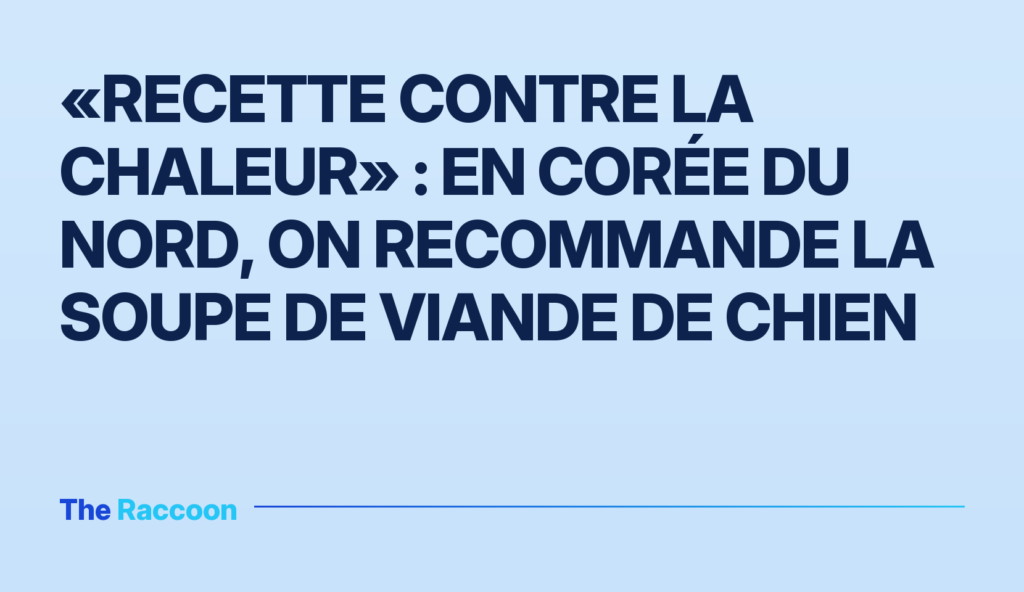 «Recette contre la chaleur» : en Corée du Nord, on recommande la soupe de viande de chien