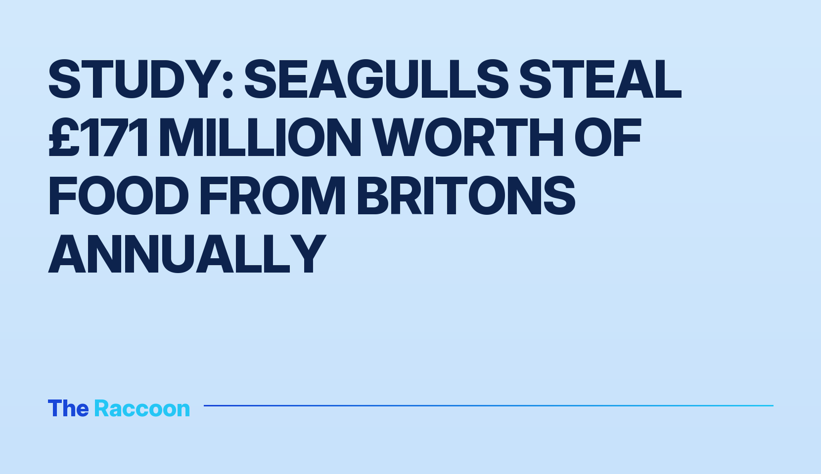 Study: Seagulls steal £171 million worth of food from Britons annually