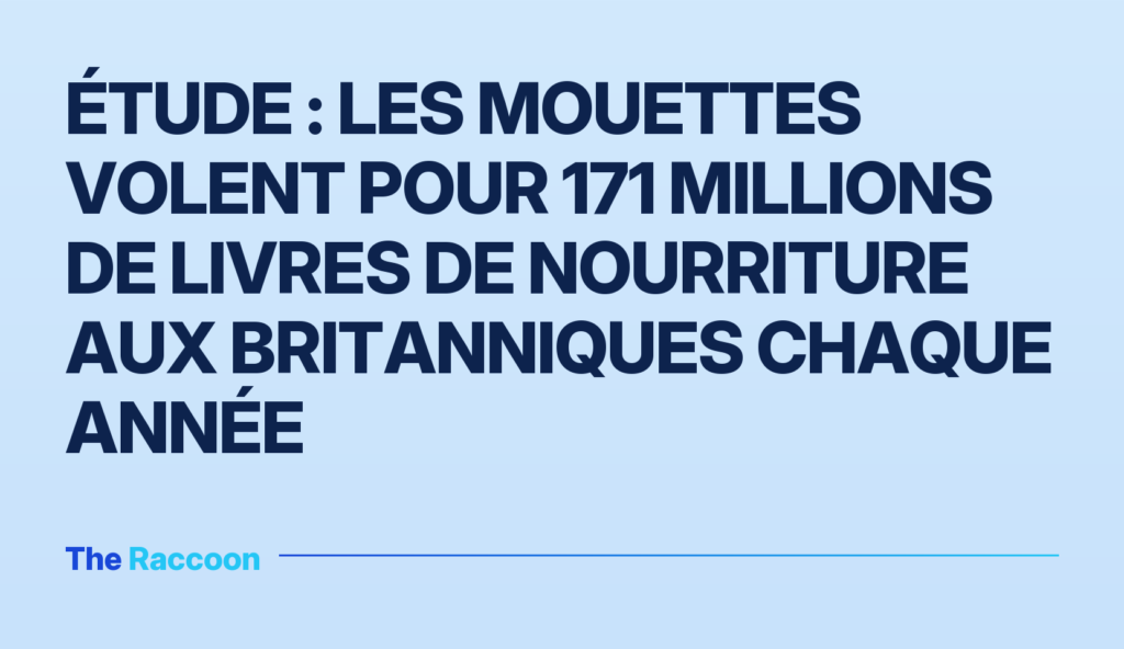 Étude : les mouettes volent pour 171 millions de livres de nourriture aux Britanniques chaque année Étude : les mouettes volent pour 171 millions de livres de nourriture aux Britanniques chaque année