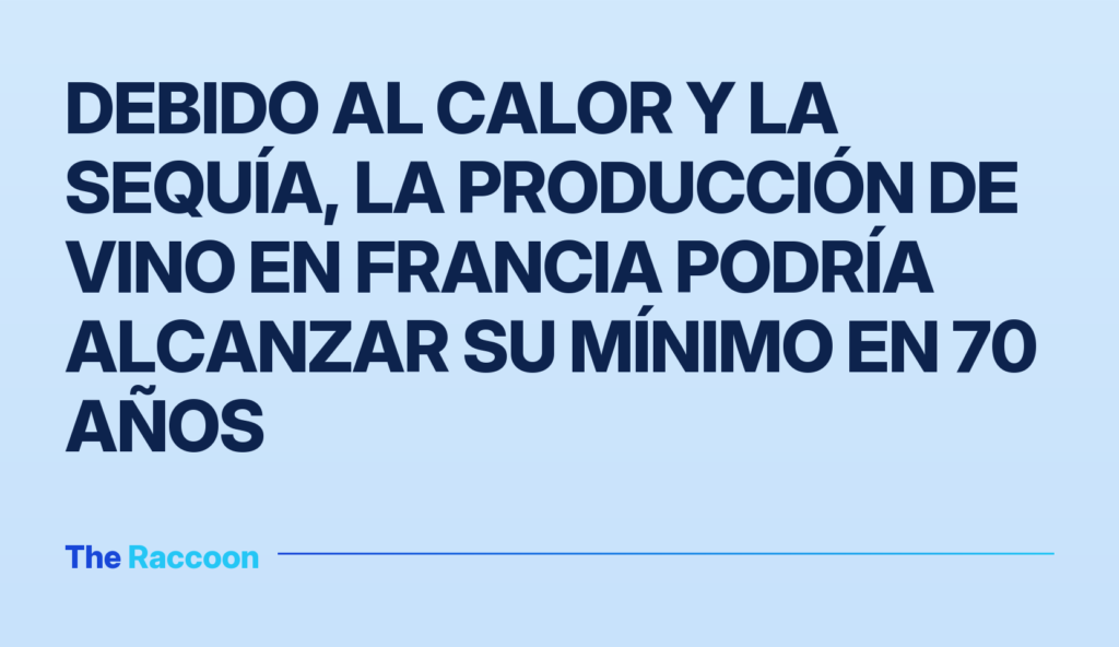 Debido al calor y la sequía, la producción de vino en Francia podría alcanzar su mínimo en 70 años