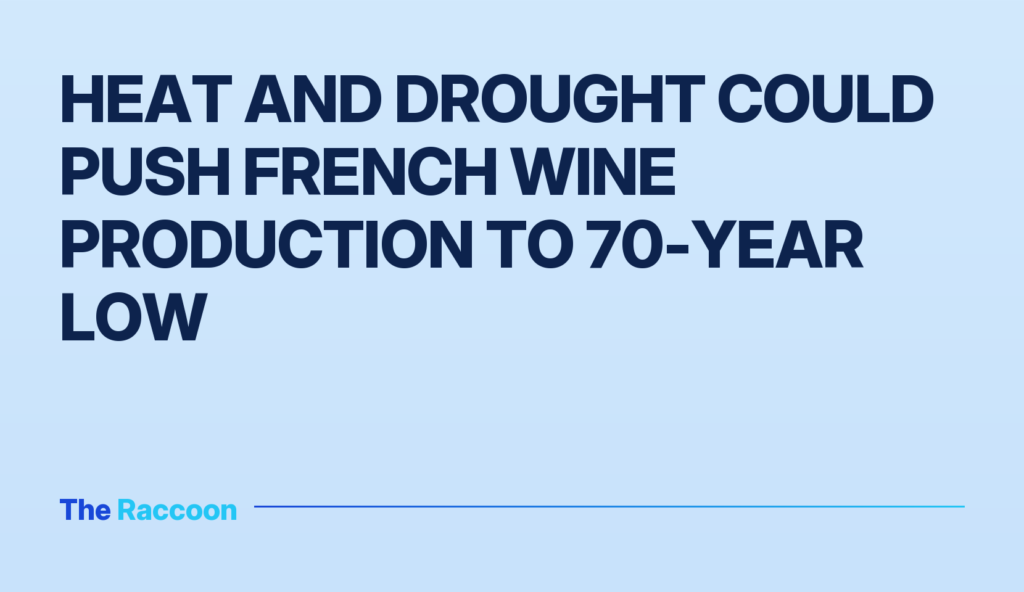 Heat and drought could push French wine production to 70-year low
