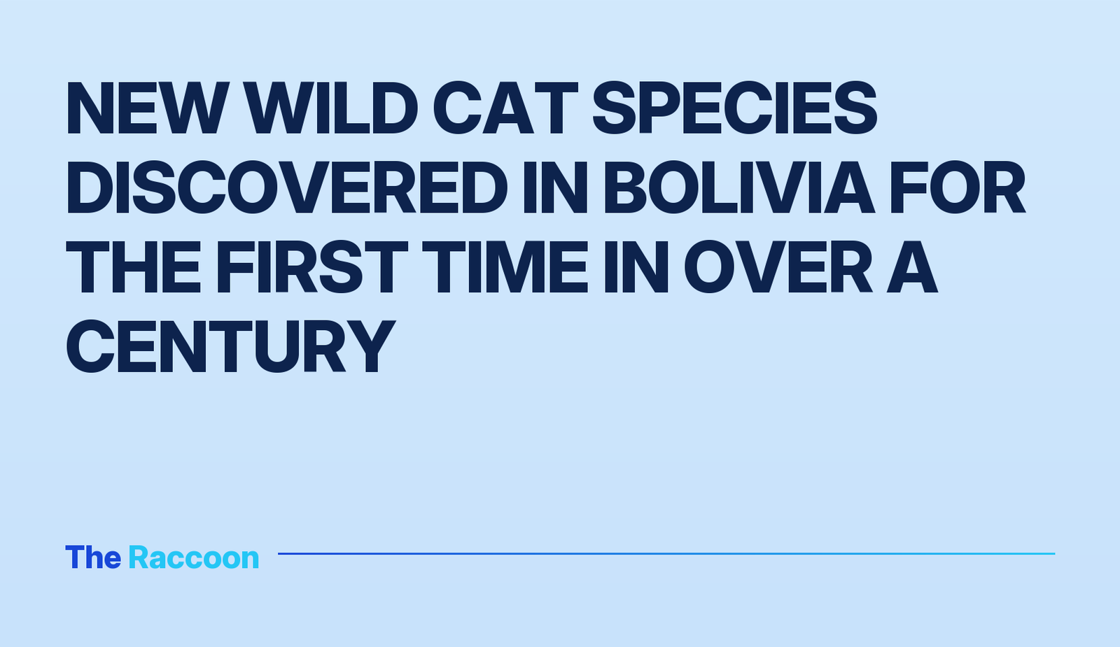 New wild cat species discovered in Bolivia for the first time in over a century