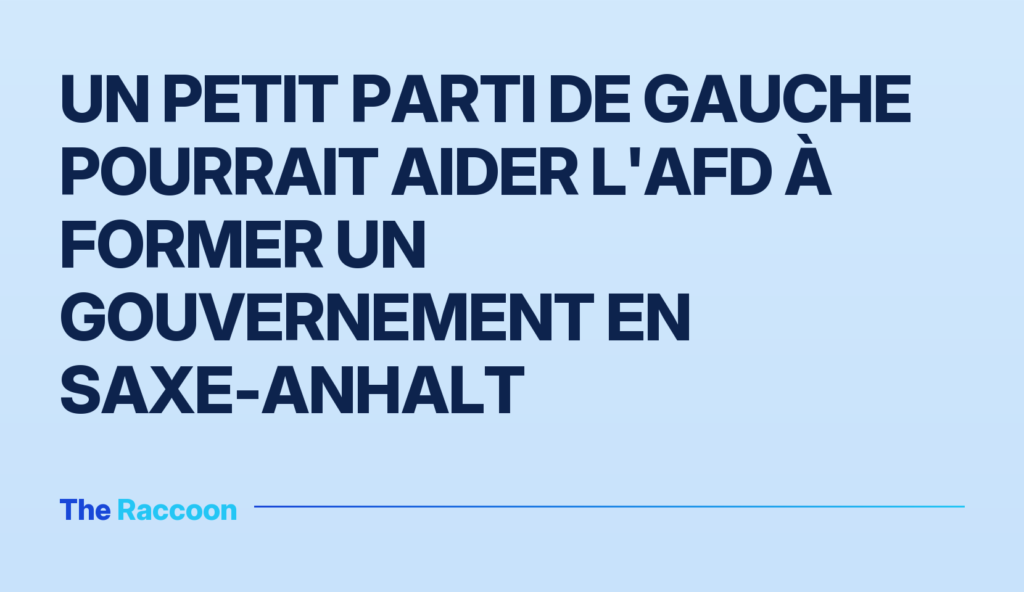 Un petit parti de gauche pourrait aider l'AfD à former un gouvernement en Saxe-Anhalt