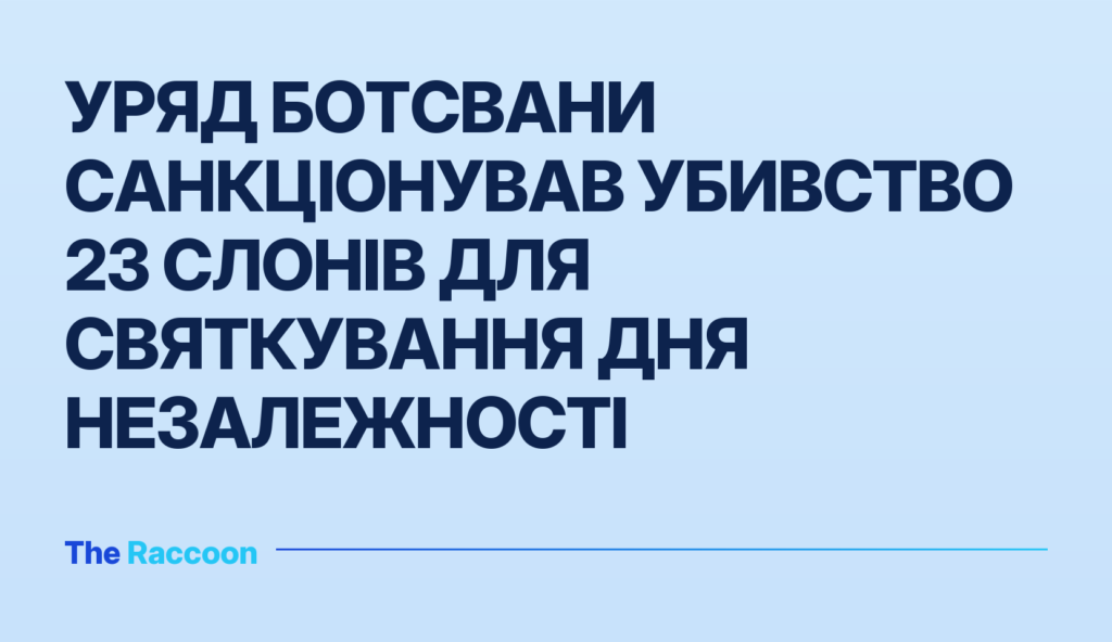 Уряд Ботсвани санкціонував убивство 23 слонів для святкування Дня незалежності